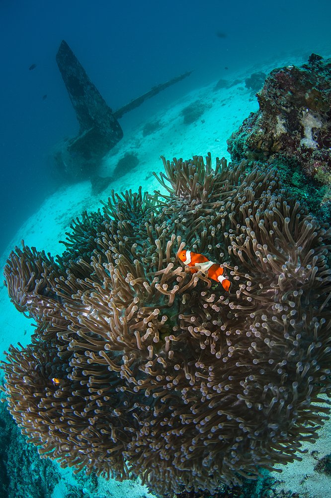 Photograph by Оксана Каменская