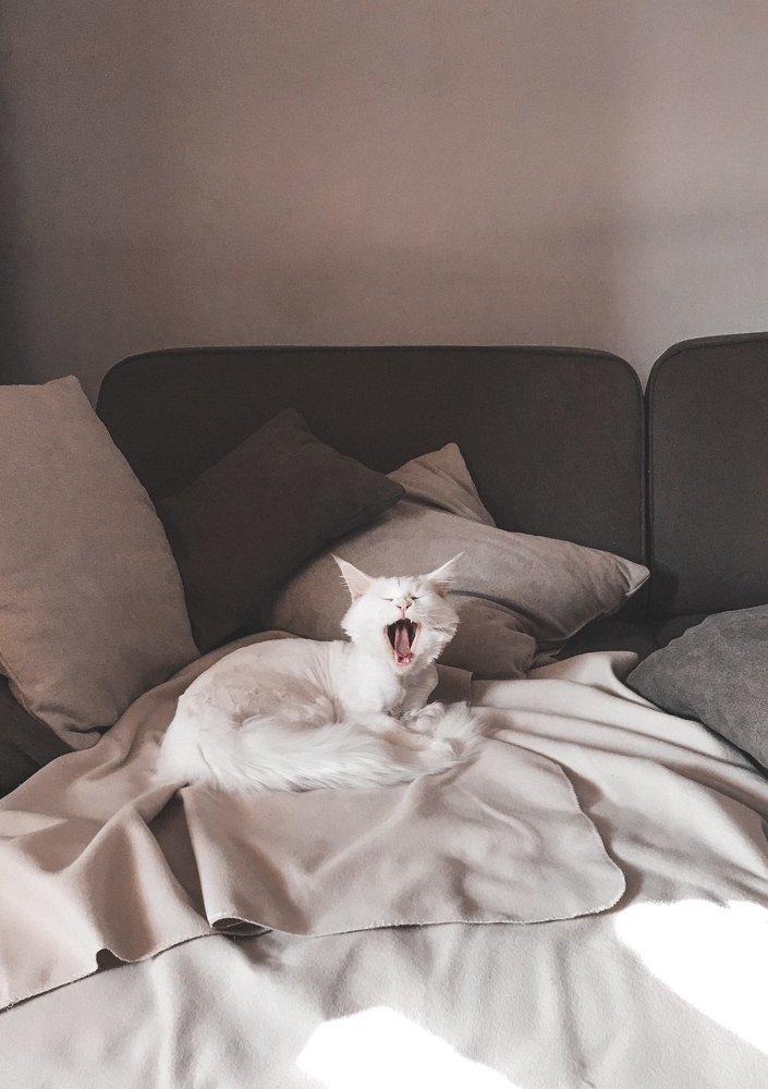 Photograph by Дарья Акимова