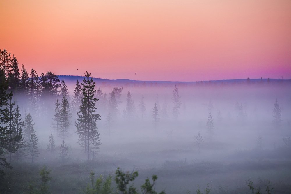 Photograph by Валентин Жиганов