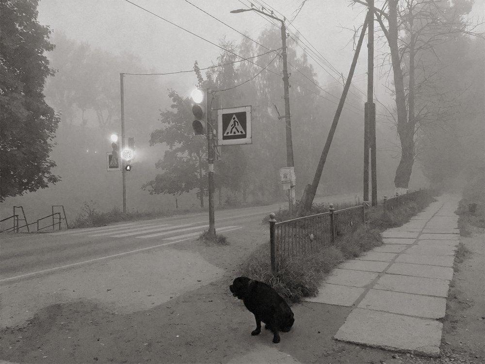 Photograph by Александр Ковальков