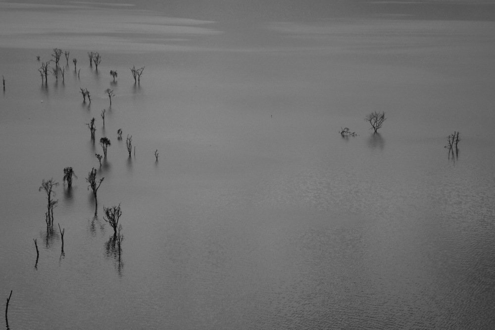 Photograph by Gaurav Chopra