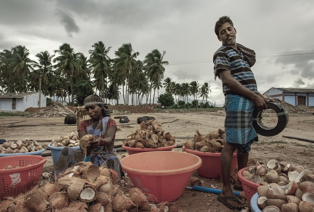 Фотография автора Vishnu Gopal