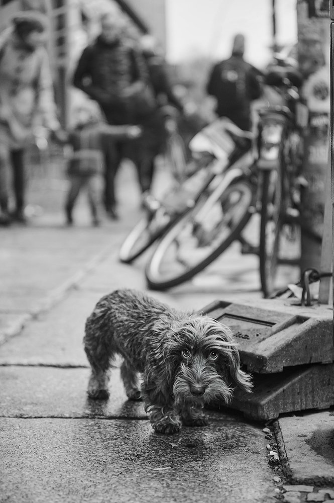 Photograph by Курта Аркадий