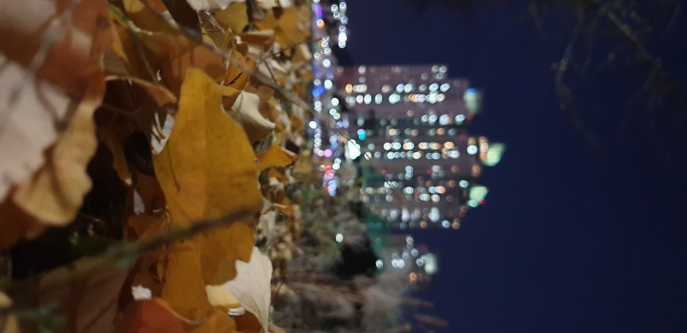 Photo #4394200