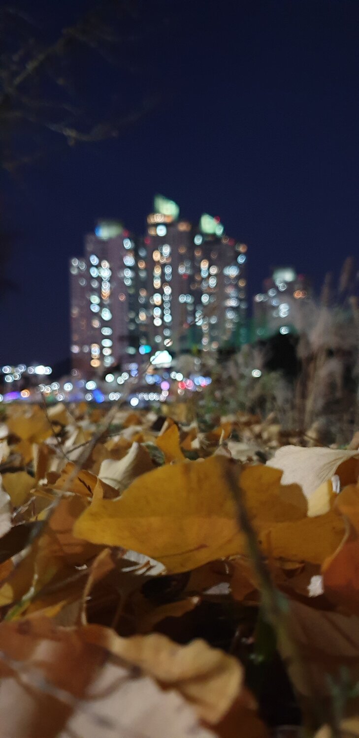 Photo #4394200