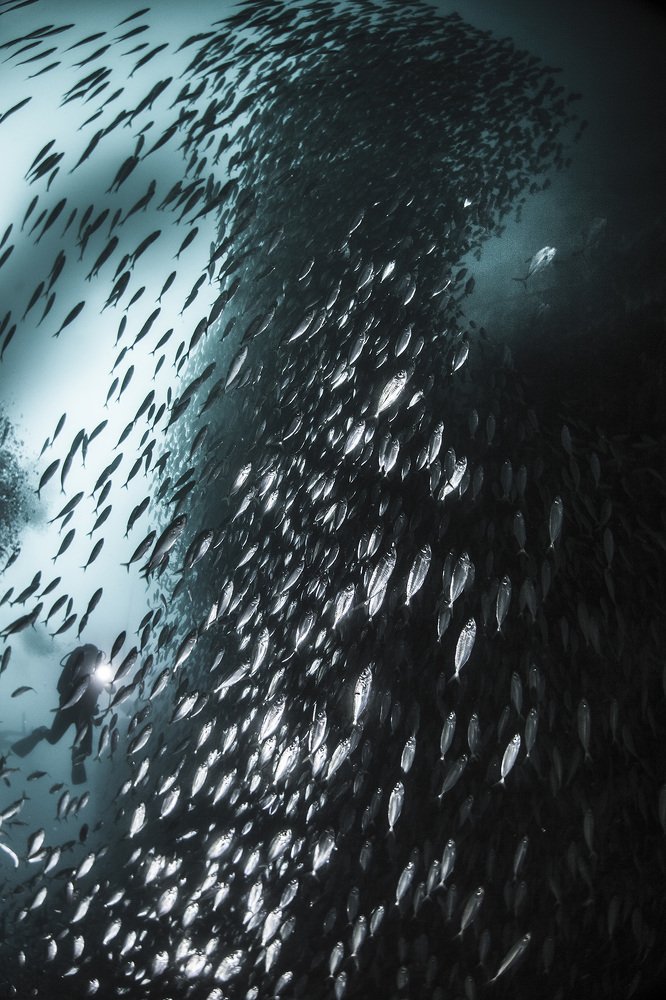 Photograph by Оксана Каменская