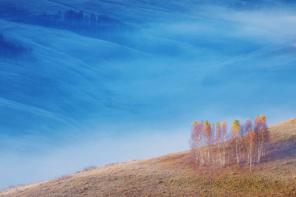 Photograph by Alex Coman