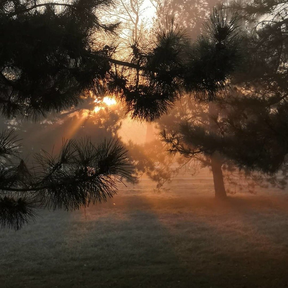 Опять ты опоздал!