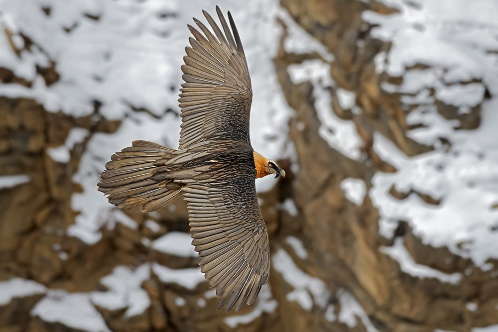 Photograph by Sandip Patil