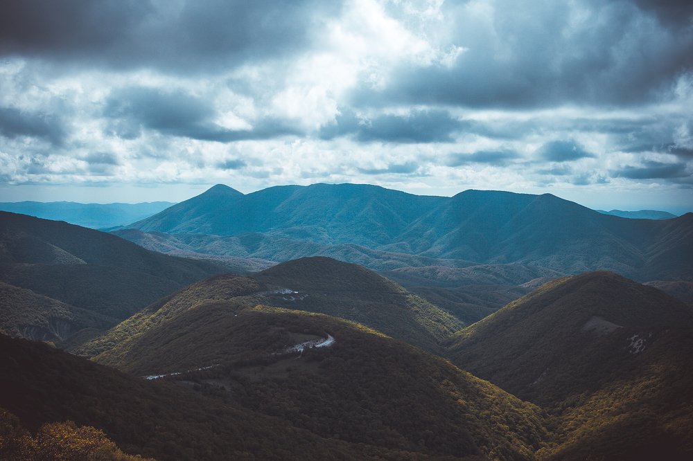Фотография автора Мария Веселова
