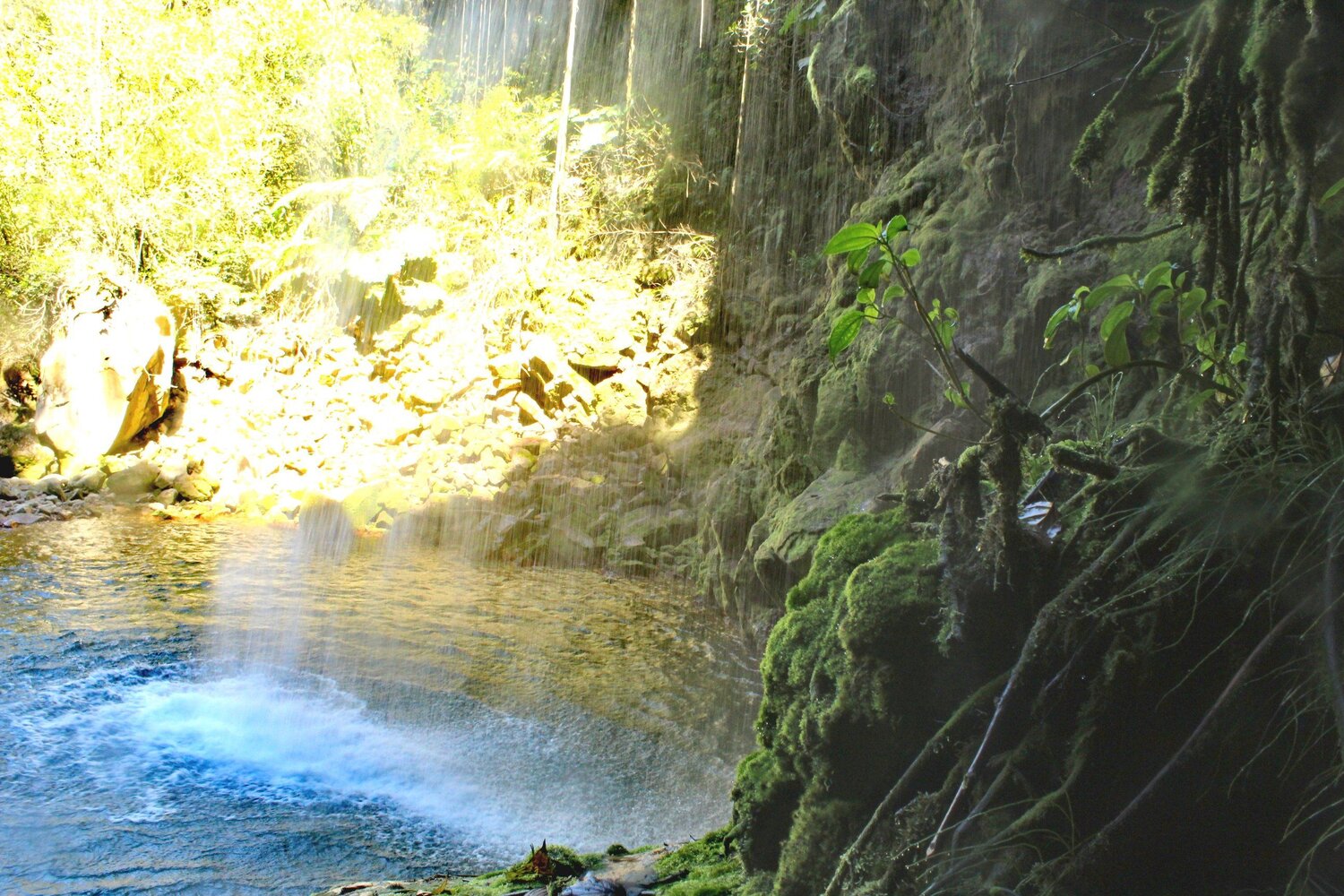 Photo #4394429