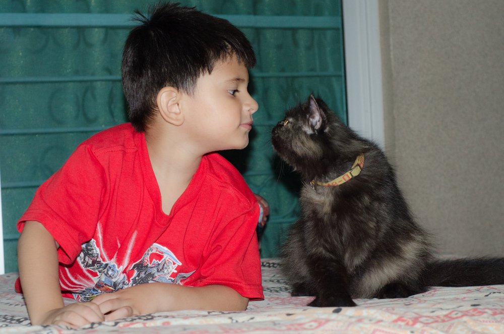 Фотография автора Muhammad Haris