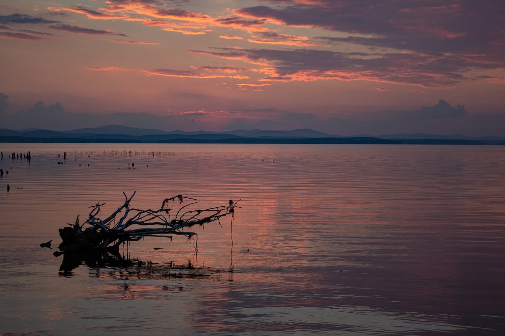 Photograph by Анастасия Демьянова