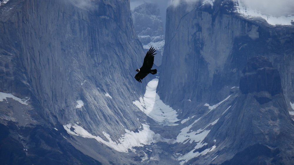 Photograph by Nicole