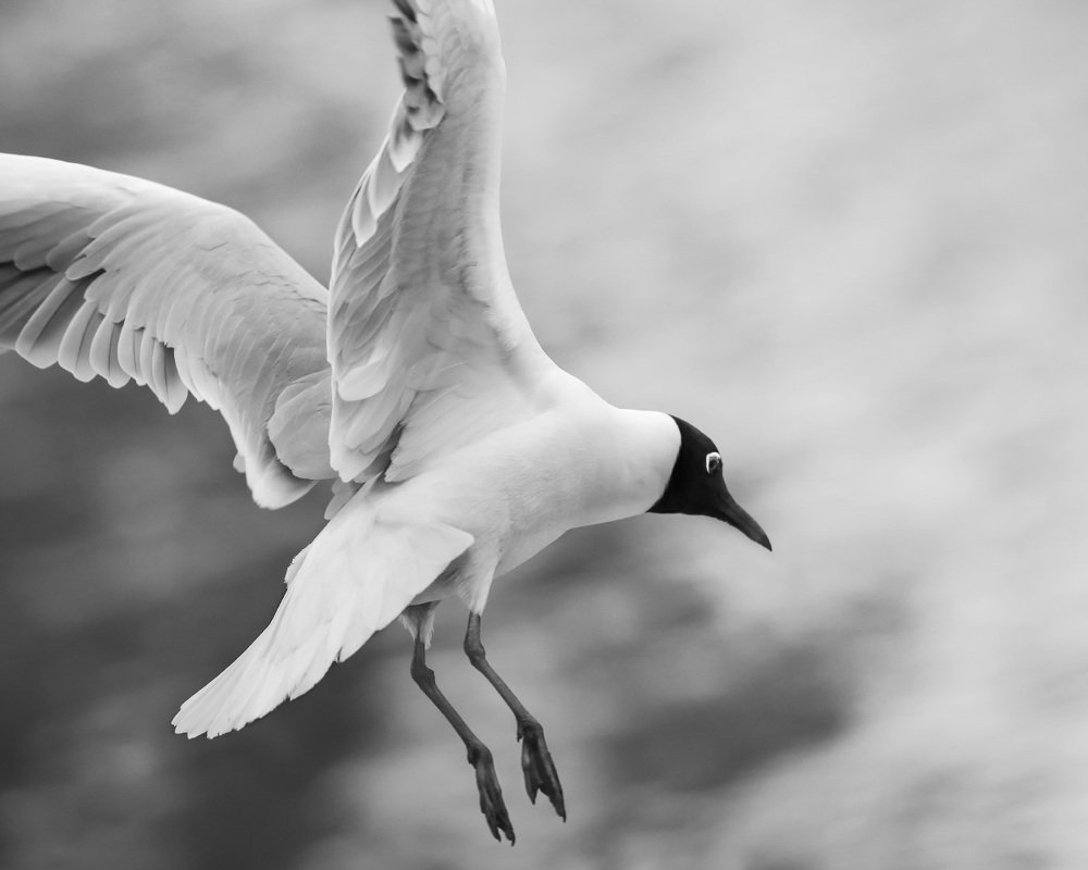 Пронзая пространство - Piercing space