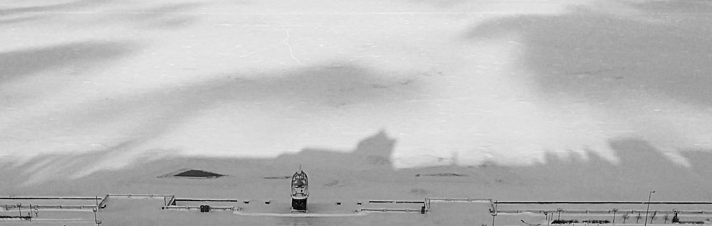 Photo #4394613