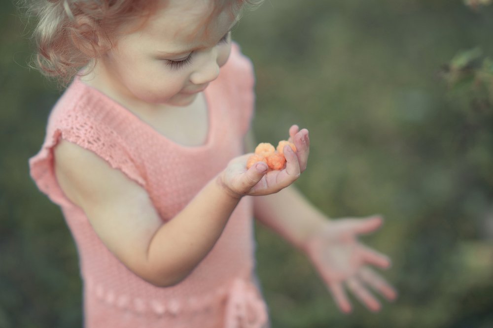 Дачные зарисовки