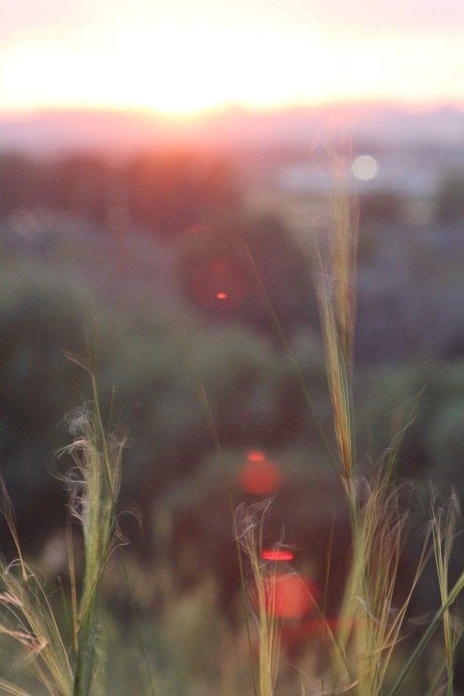 Photograph by Алина Новикова