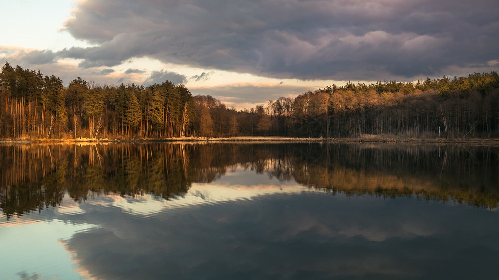 Photograph by Виталий Тимофеев