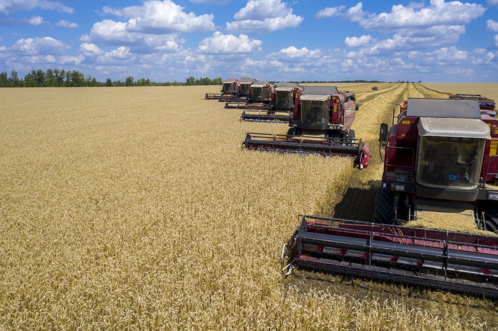 Photograph by Игорь Кляхин