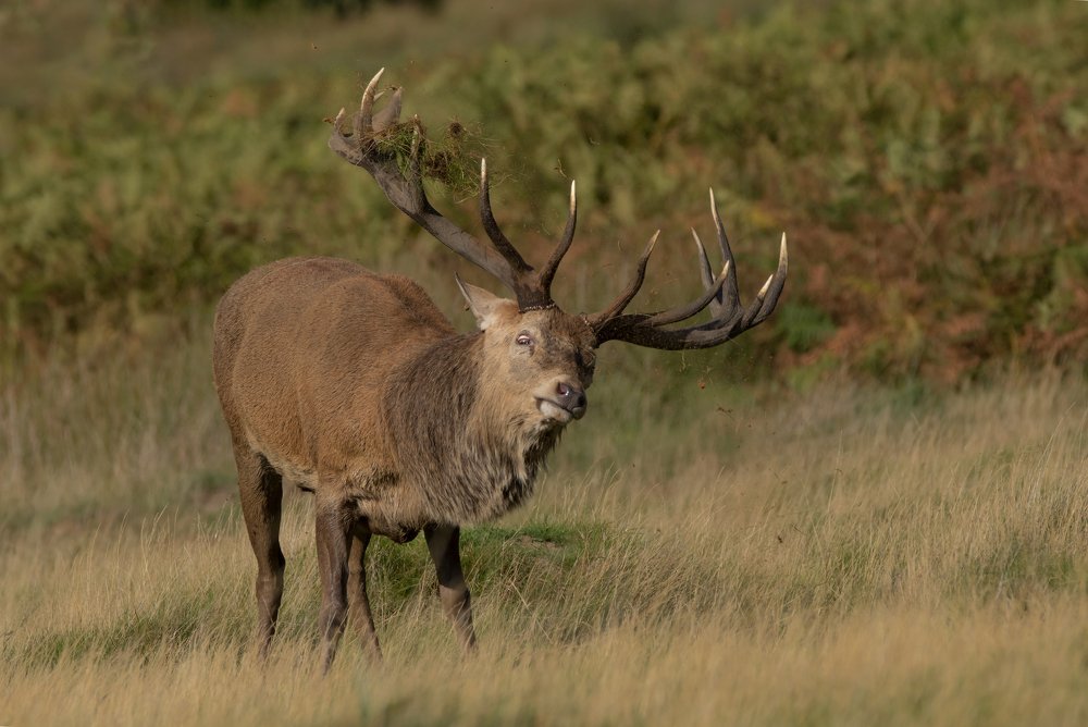 Фотография автора MARIA KULA
