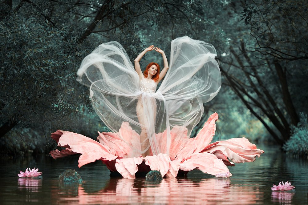 Photograph by Галина Жижикина