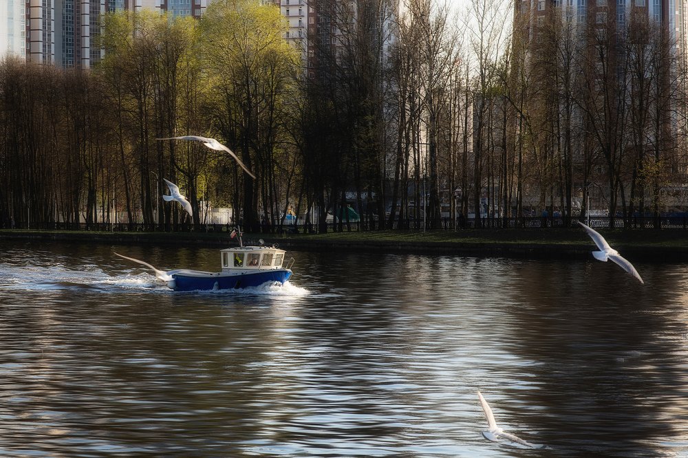 Чижик из мультфильма Катерок