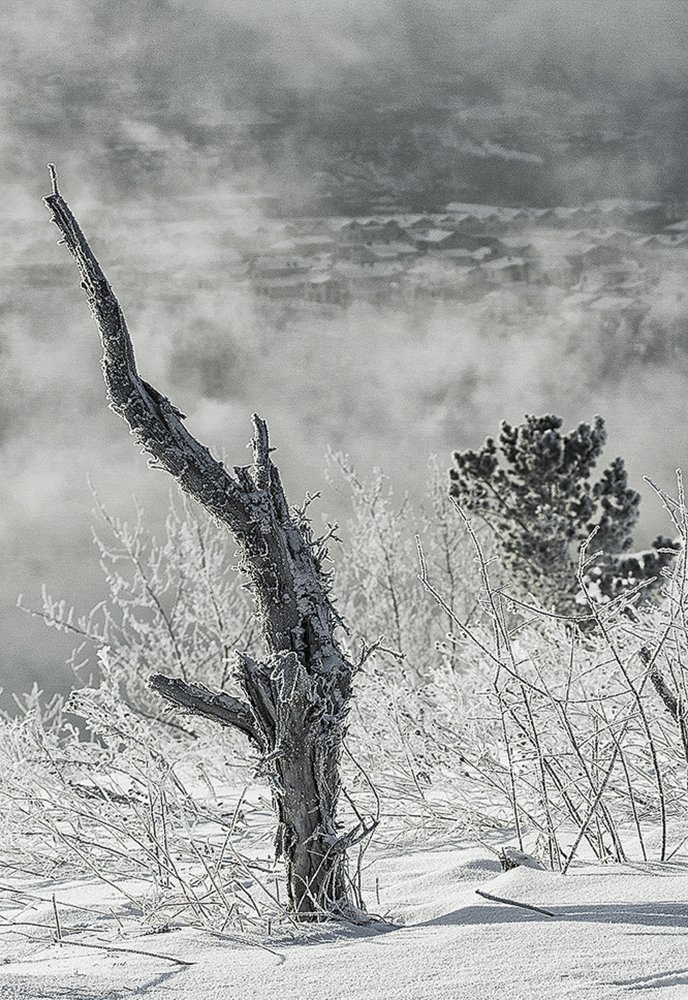 Морозный денёк...