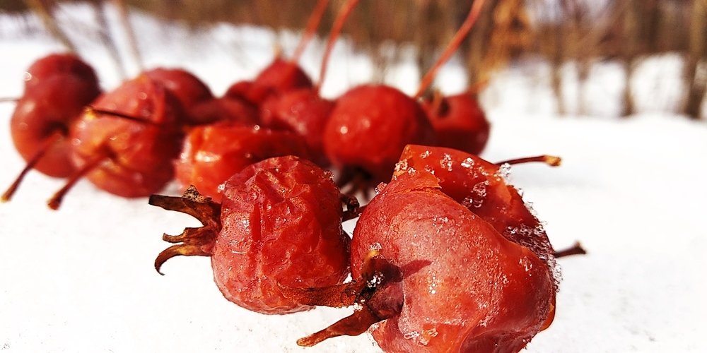 Photograph by Ирина Саттарова