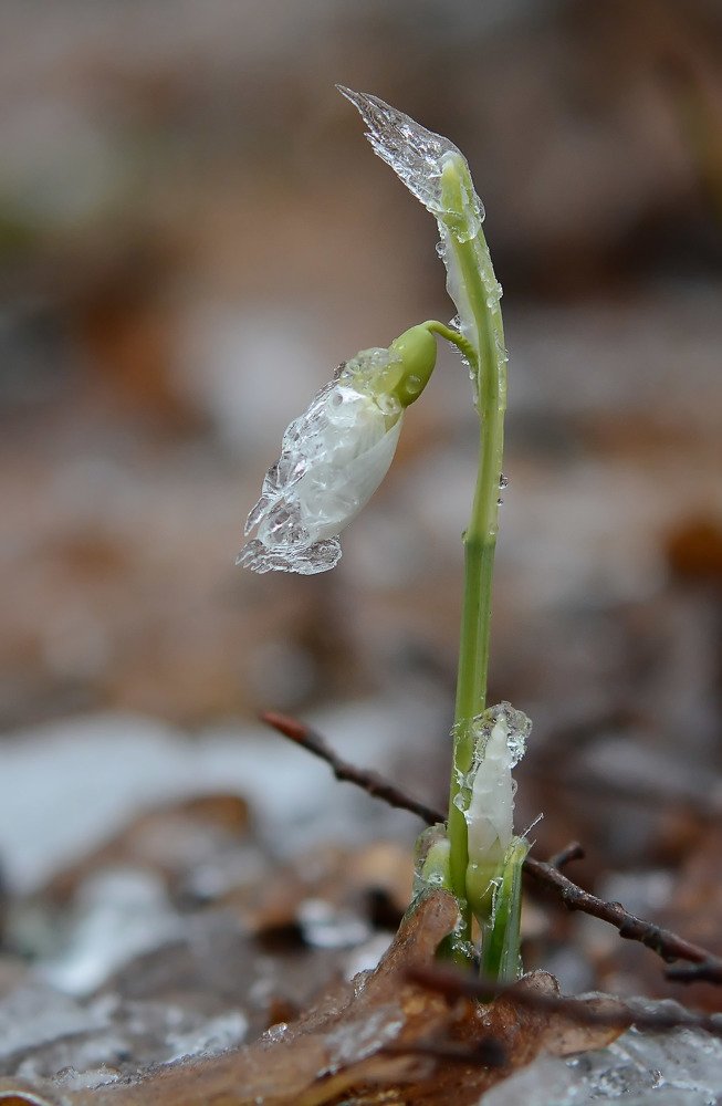 Photograph by Михаил Колтухов