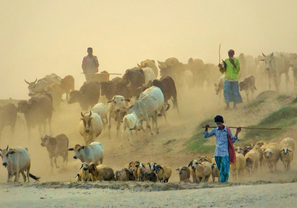 Photograph by Saha Jagannath
