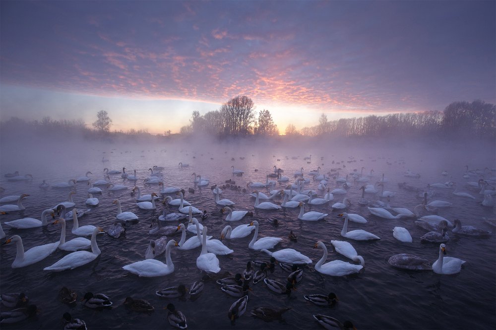 Photograph by Андрей Базанов