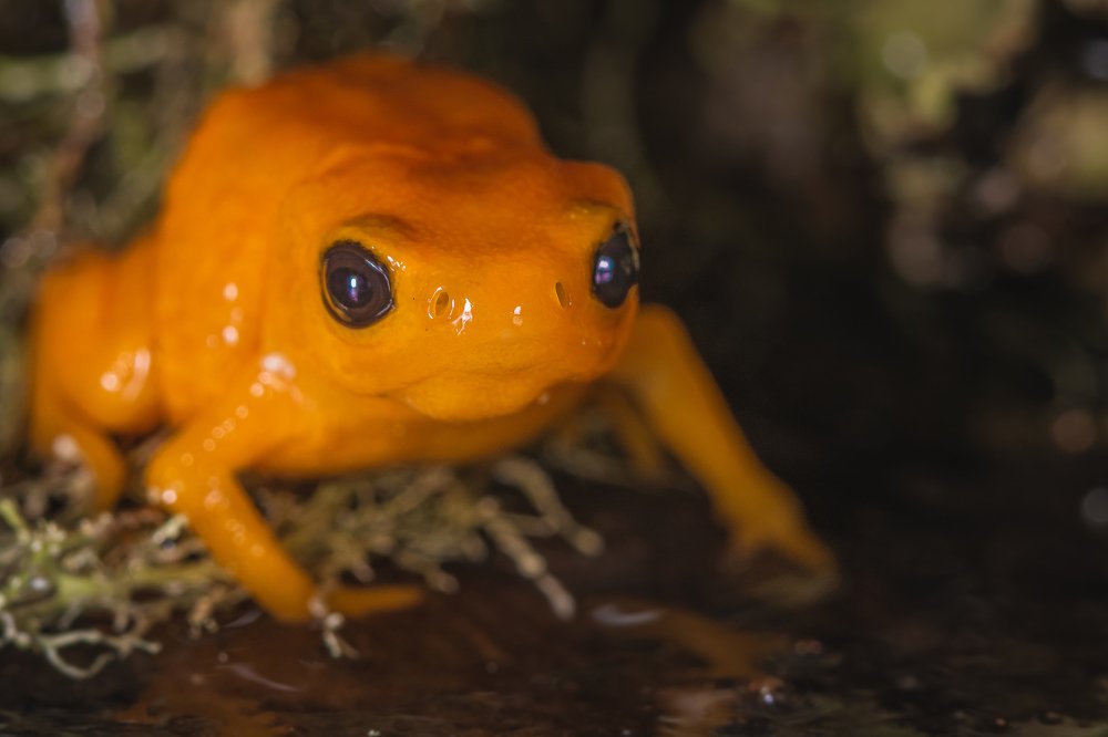 Photograph by Mauro Regalado Soares