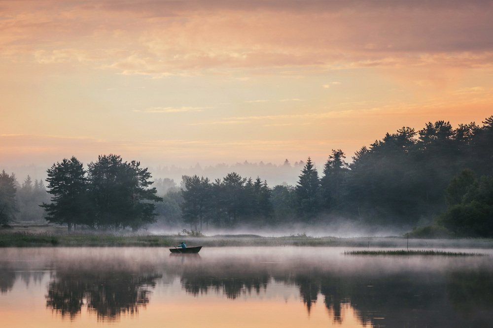 Photograph by Татьяна Афиногенова