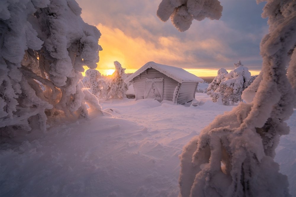 Photograph by Андрей Базанов