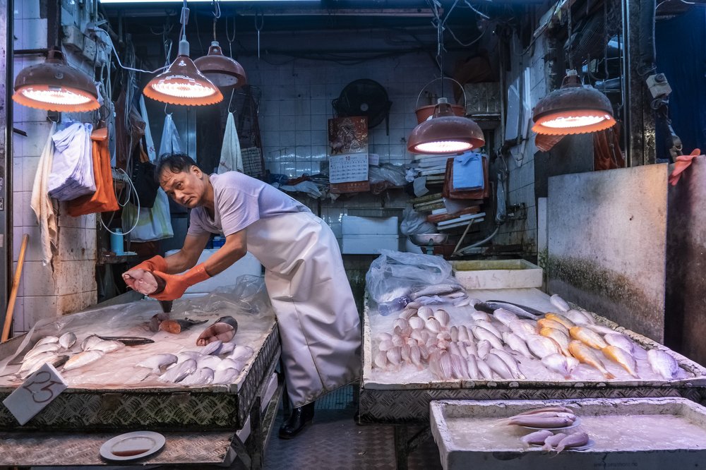 How much of the fish?