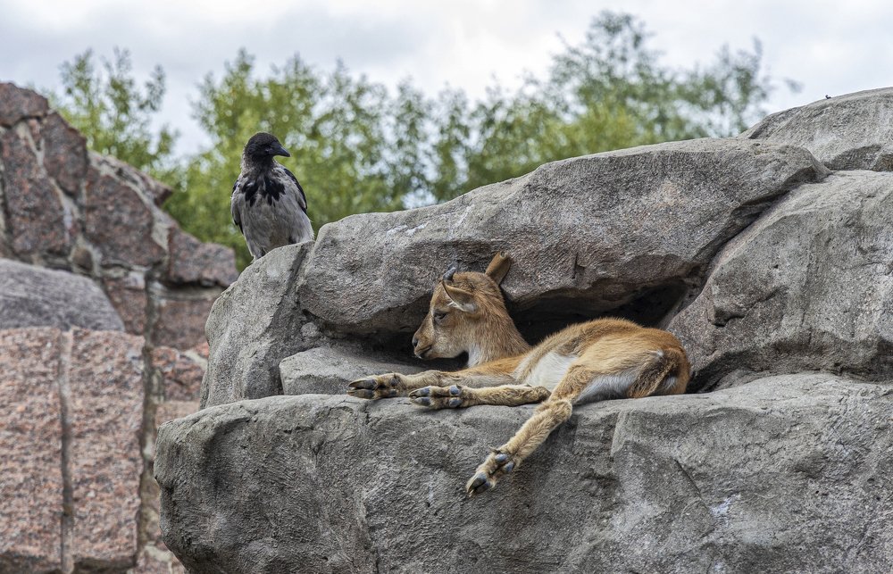 Photograph by Вячеслав Касаткин