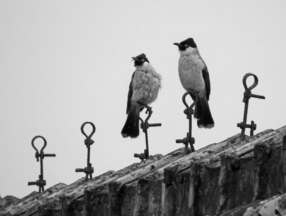 Photograph by Raffi Akbar