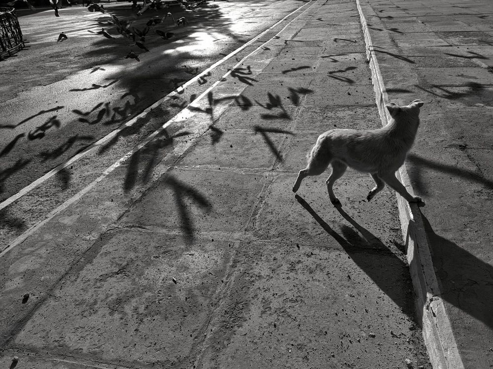 Photograph by Владимир Лищук