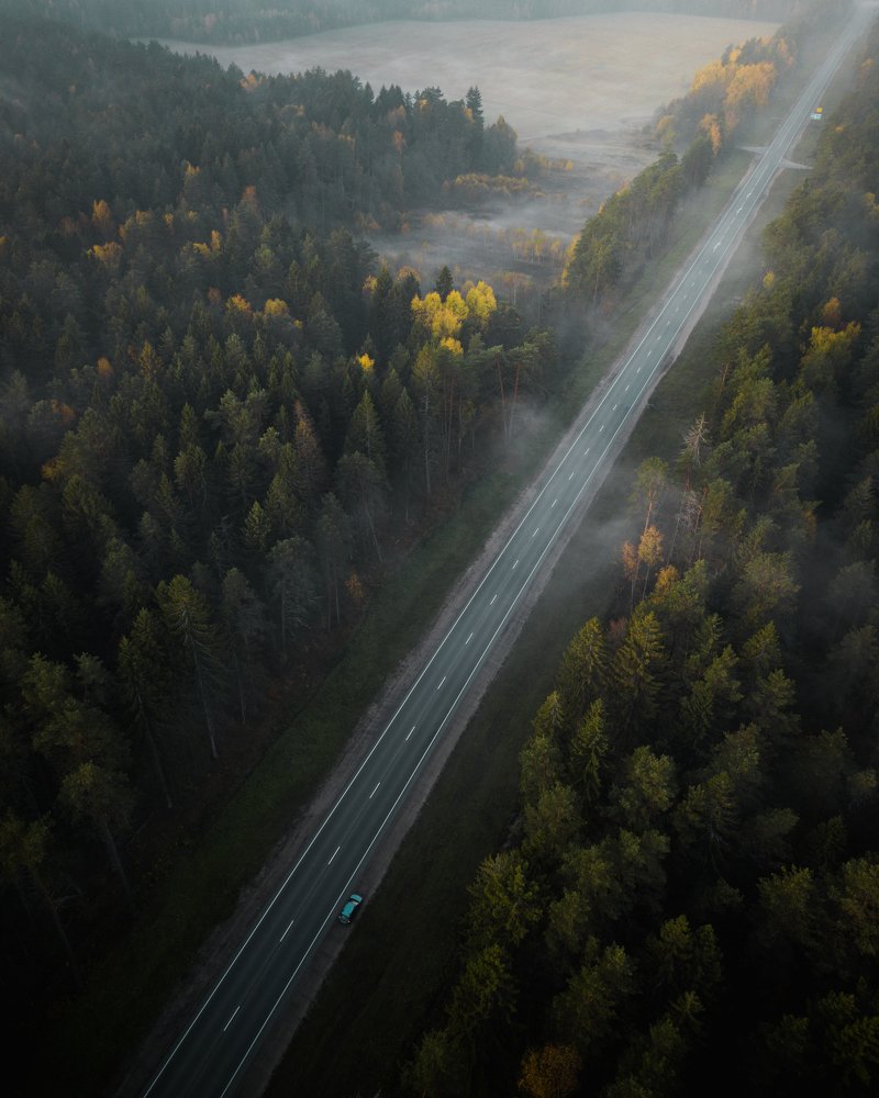 Туманное утро