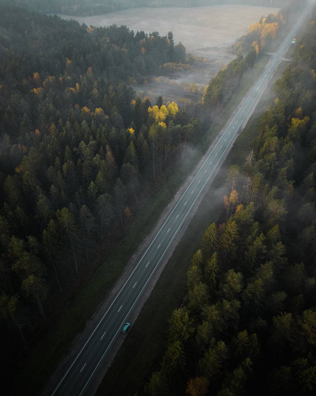 Туманное утро