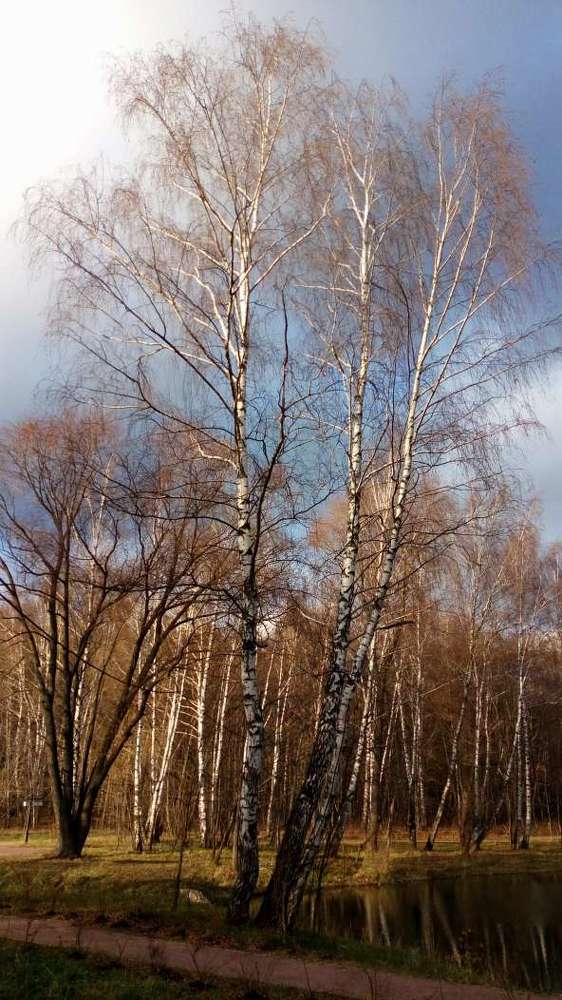 Photograph by Мария Навроцкая