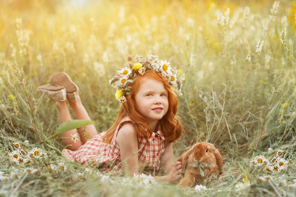 Солнечные зайчики