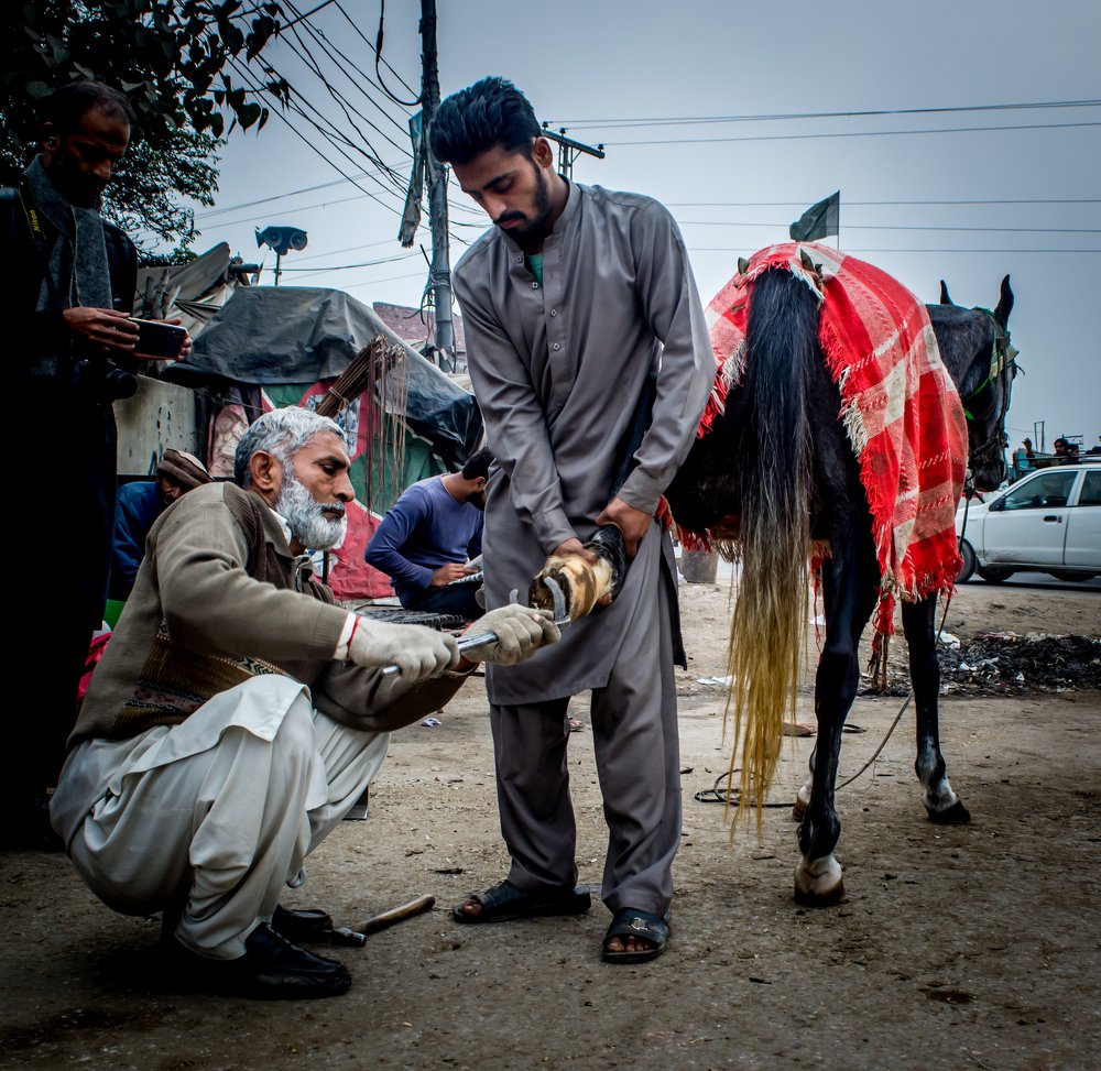 Photograph by Kashif qaiser