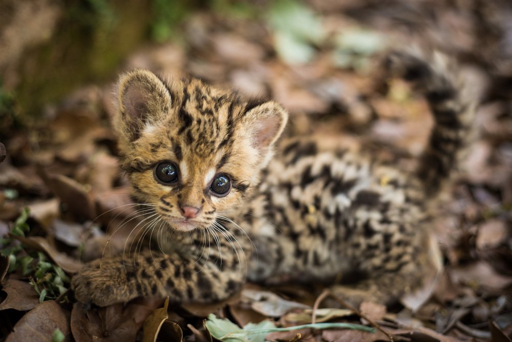 Photograph by Victor Moreira