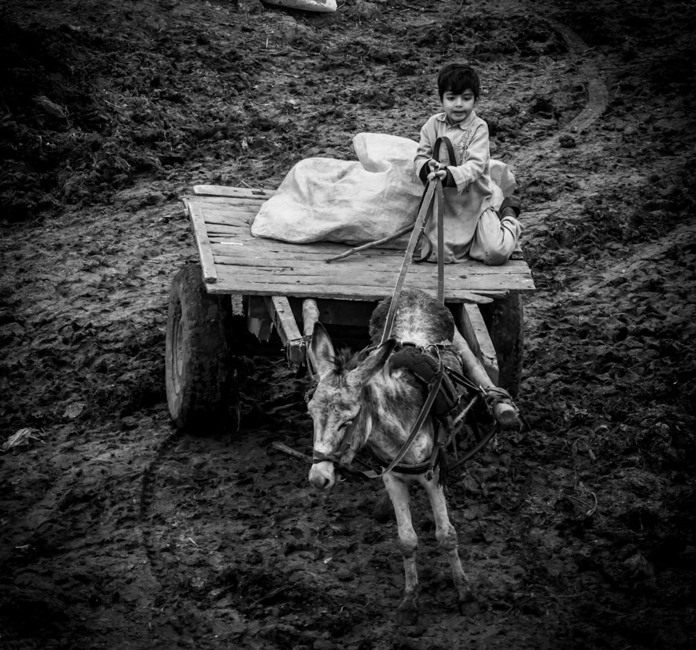 Photograph by Kashif qaiser