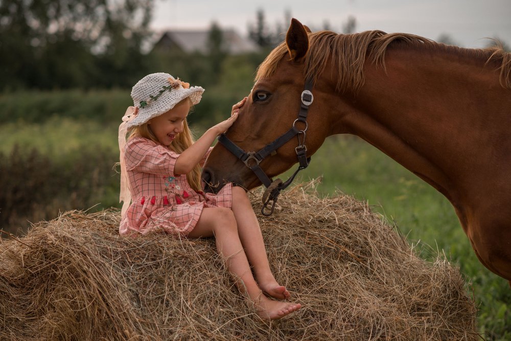 Photograph by Лаптева Татьяна Александровна