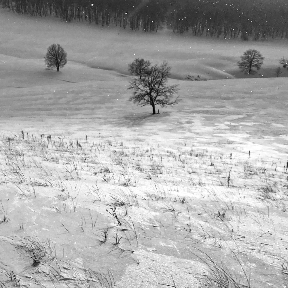 Фотография автора senjor