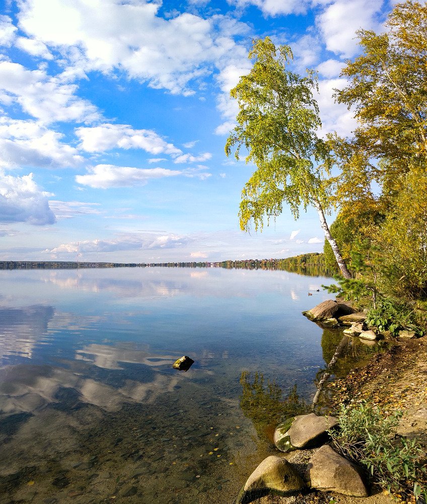 Photo #4395473