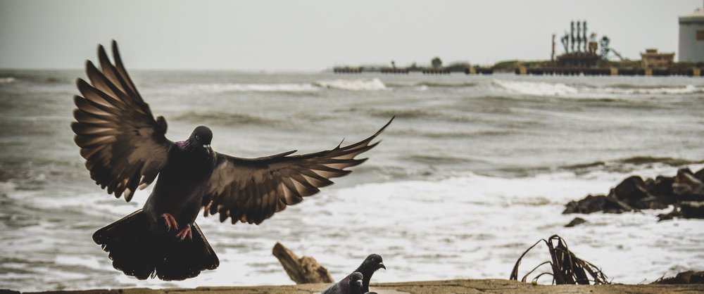 FROM THE STREETS TO THE SKY